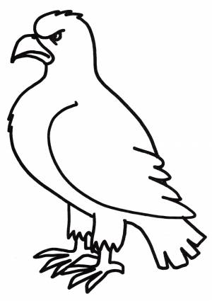 Раскраска Грозный орел