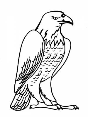 Раскраска Орел   в формате