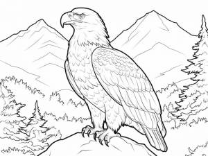 Орел раскраски страницы книги черно-белые очертания иллюстрации животных зоопарка для детей
