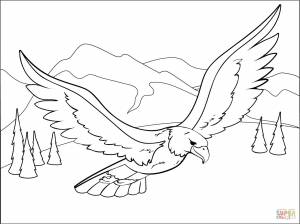 Раскраска Орел