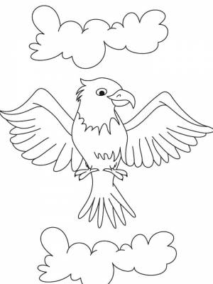 Раскраска Орел   в формате