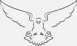 Эскиз рисования белоголового орлана, орел, белый, карандаш, животные png