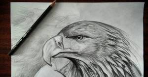 Рисунок карандашом