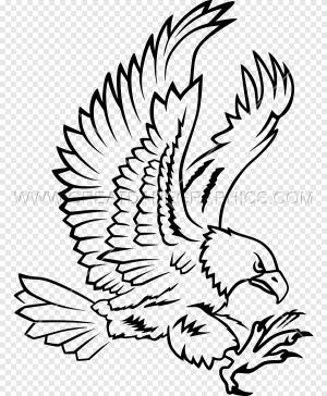 Рисунок Beak Line арт, орел, белый, животные png