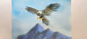 Как нарисовать орла