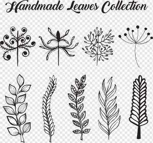 Коллекция листьев png