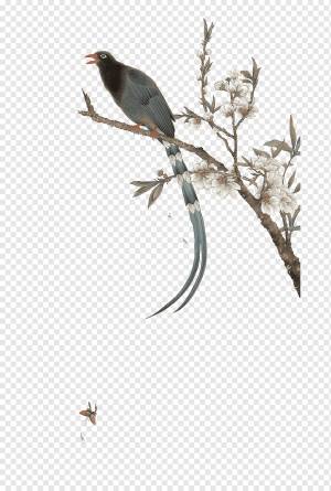 Нанкинский университет искусств Исин, ​​студия живописи-каллиграфии, ребенок, рука, ветка дерева png