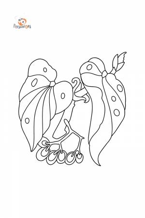 Раскраска Бегония ♥ Онлайн и !