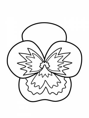 Раскраска Анютины глазки картинка  для детей