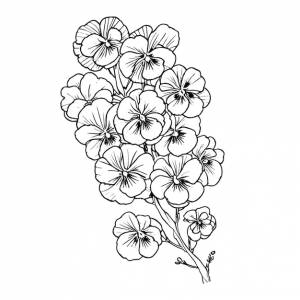 Анютины глазки дизайн анютины глазки вышивка анютины глазки цветы раскраски черно-белые