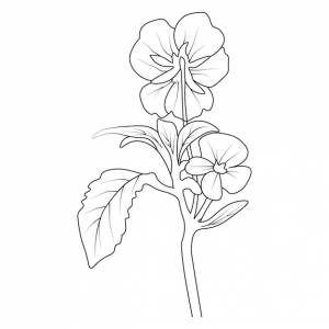 Наброски цветок анютины глазки рисунок винтажный рисунок анютины глазки рисунок цветок анютины глазки детская раскраска