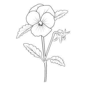 Цветок на стебле со стеблем анютиных глазок изолированные ботанические анютины глазки рисунок линии цветка анютины глазки картинки
