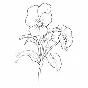 Реалистичный рисунок анютиных глазок рисунок цветка анютины глазки контур ботанический цветок иллюстрация цветочное искусство