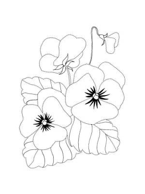 Раскраска Анютины глазки