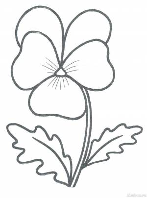 Рисунок анютины глазки для детей