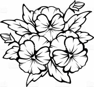 Vector black contours of pansy flowers isolated on a white background