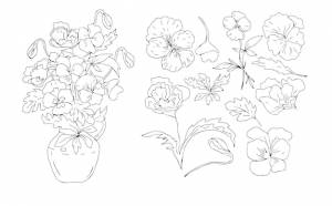 Анютины глазки цветы весенние цветущие растения графическая иллюстрация рисованная книжка-раскраска для детей скетч