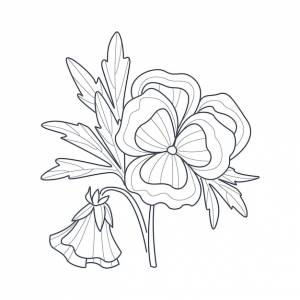 Монохромный рисунок цветка анютины глазки для книжки-раскраски