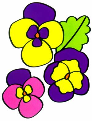 Раскраска Разноцветные анютины глазки