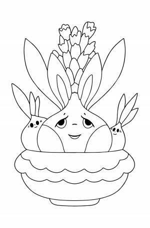 Раскраска Гиацинт для малышей ♥ Онлайн и !