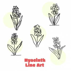 Рисунок цветка под названием гиацинт