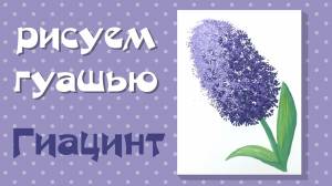 Рисуем гуашью цветы гиацинта