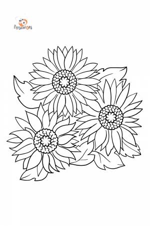 Раскраски Цветы для детей