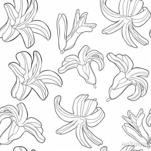Раскраски бесшовные шаблон гиацинт весной цветок