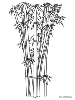 Bamboo coloring pages for kids