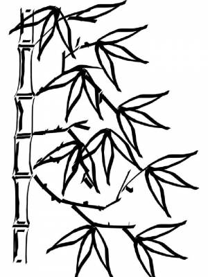 Раскраска Бамбук  листе  онлайн