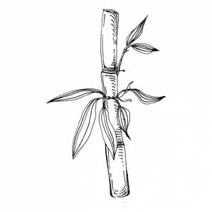 Бамбук завод вручную рисунок эскиз