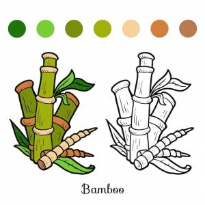 Книжка-раскраска для детей, бамбук