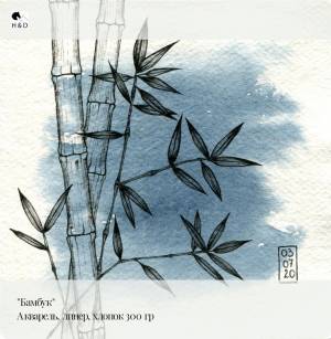 Бамбук, акварель, линер, хлопок 300 гр