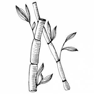 Бамбук завод вручную рисунок эскиз