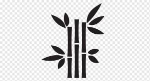 Рисунок Бамбук, арболы, карандаш, лист, логотип png