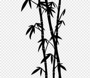 Тропический древесный бамбук Рисунок, Tige, лист, фал, другие png