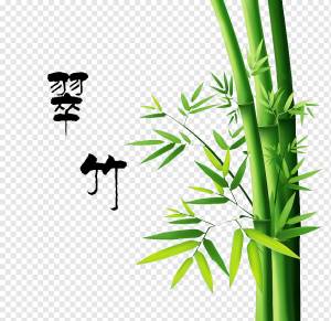 Бамбуковая роспись Рисунок, бамбук, угол, лист, текст png