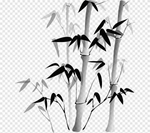 Роспись бамбука Китайская роспись Рисунок, бамбук, угол, лист png