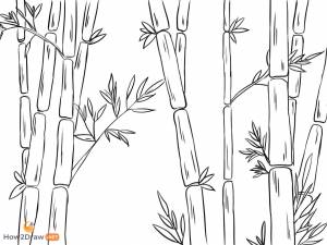 Бамбук рисунок карандашом