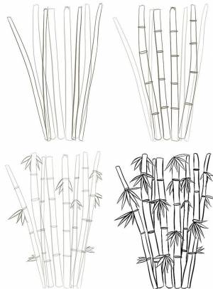 Бамбук рисунок поэтапно