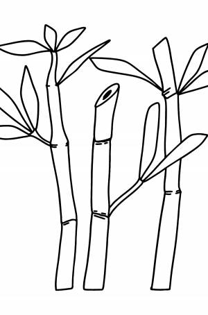 Бамбук раскраска
