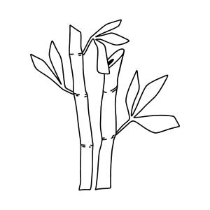 Бамбук раскраска