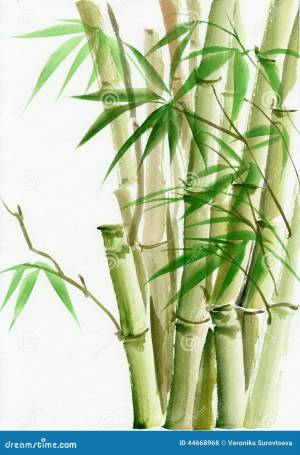 Картина акварели бамбука иллюстрация штока
