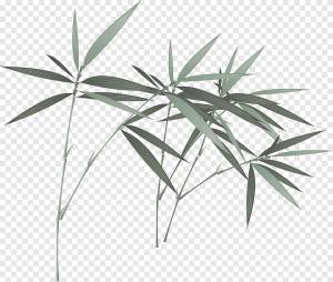 Бамбуковая тушь, китайская тушь в стиле бамбука, акварельная живопись, угол png