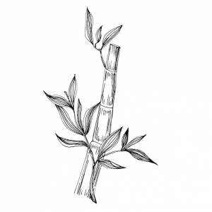 Бамбук завод вручную рисунок эскиз