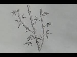 Учимся рисовать бамбук