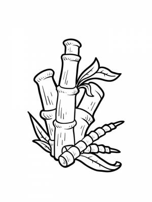 Картинка Бамбук раскраска в формате  для девочек