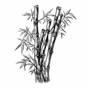 Ручной рисунок бамбука в гравированном стиле на белом фоне