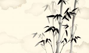 Бамбук рисунок