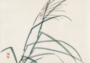 Постеры и картины ”БАМБУК РИСУНОК ”